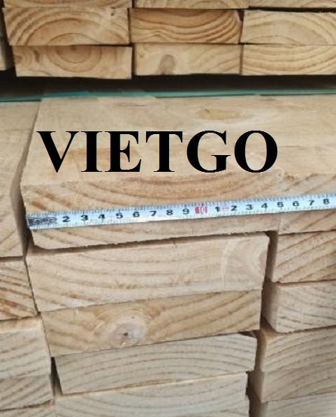 VIETGO-go thong xe-2907